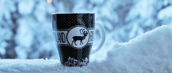 Pheromonfallen im Weinberg (Bild: Weingut Volker Barth)